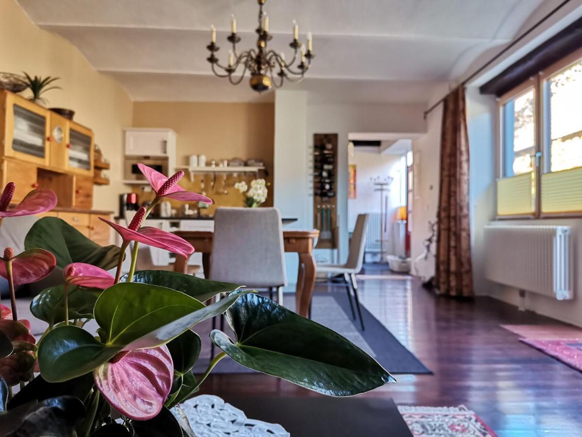 Gaestehaus Doris Purbach am Neusiedlersee Eksteriør billede